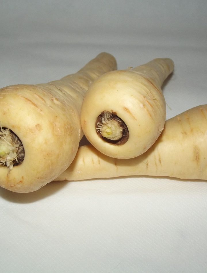Pastinaken