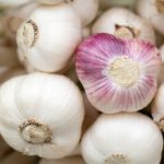 knoflook