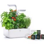 Moestuin van veritable