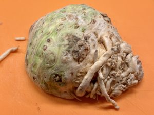 Halve knolselderij op een snijplank